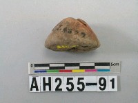 藏品(單錐平底陶紡輪)的圖片